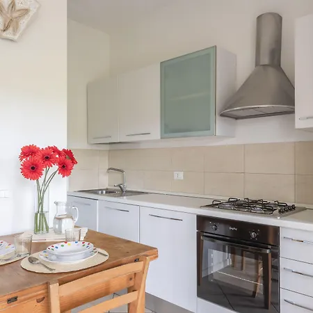 에아 비앙카 바야사드리니아